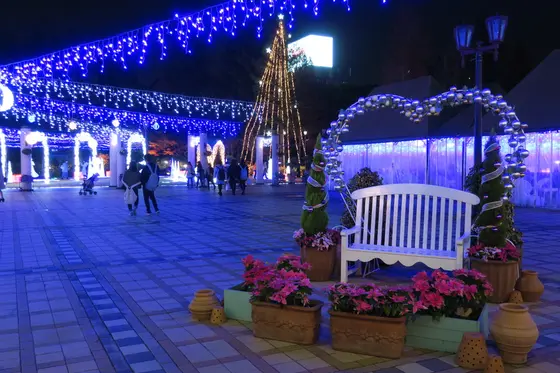 塀の中は別世界
