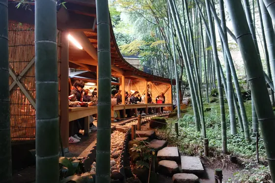 竹を眺めながら、お抹茶いただけます！
