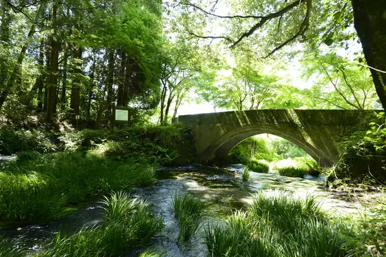 お昼の池山水源