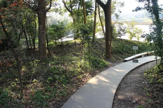 散策路が気持ちよい