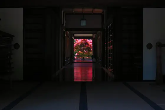 本坊玄関からの絶景