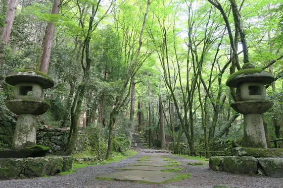 参道