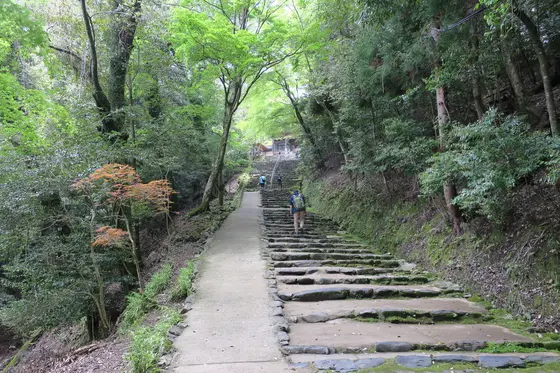 参道