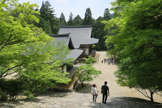 広い境内