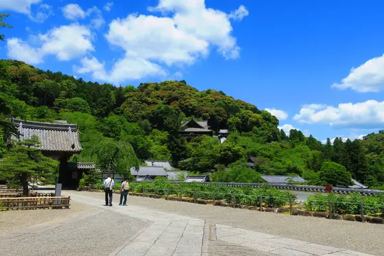 本坊からの景色