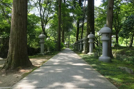 境内参道