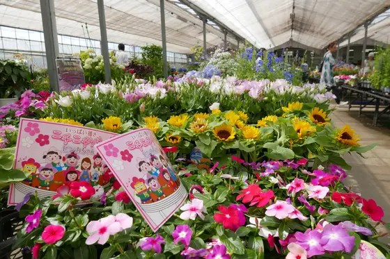 本体の花木センター