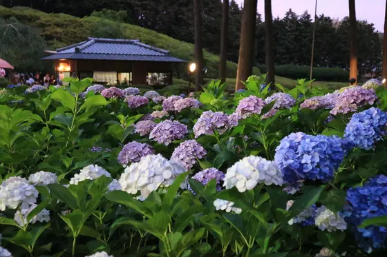 日暮れまでもう少し