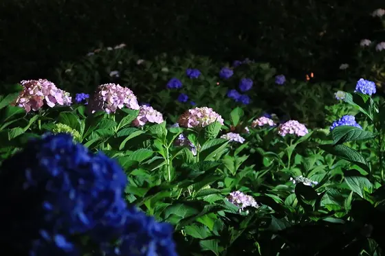 もう辺りは真っ暗