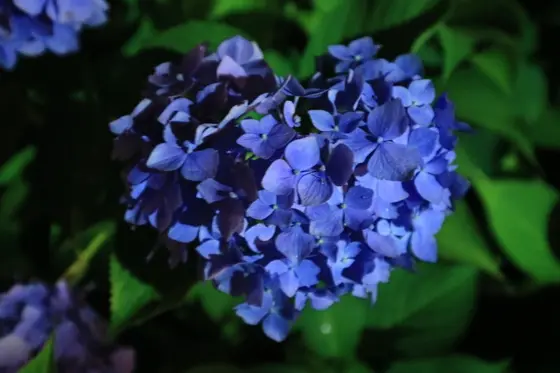 ハート型を発見！