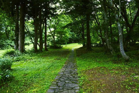 遊歩道