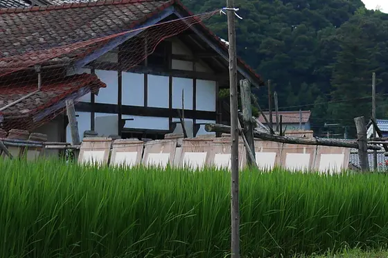 周囲の風景
