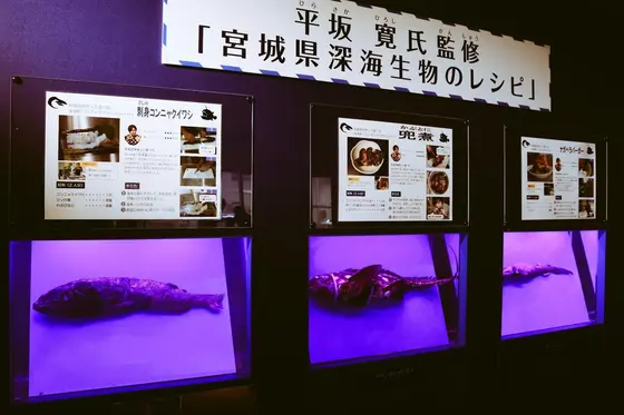 深海生物のレシピ？！