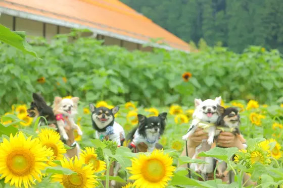 スポット内のおすすめ