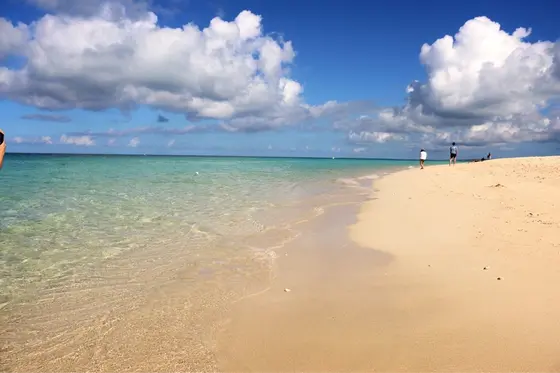圧巻のロングビーチ🏝