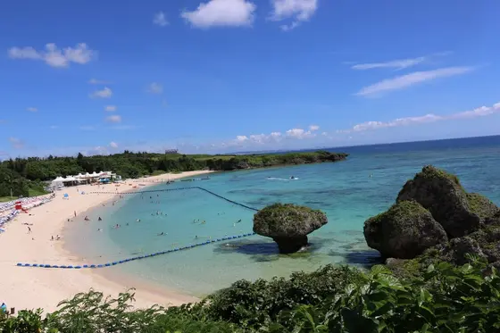 スイミングエリアも広くてゆっくり泳げます🏊