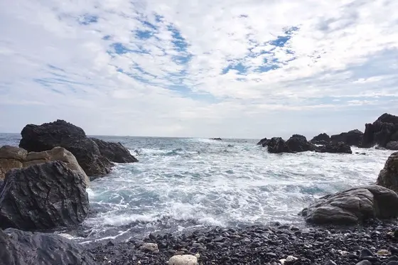海