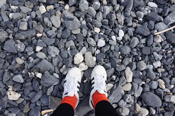海