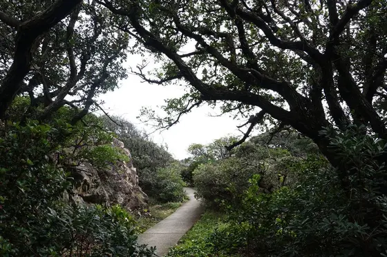 遊歩道