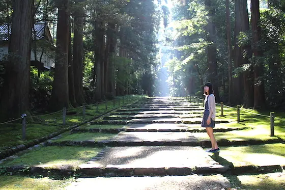 苔むす参道