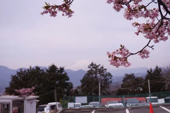 富士山