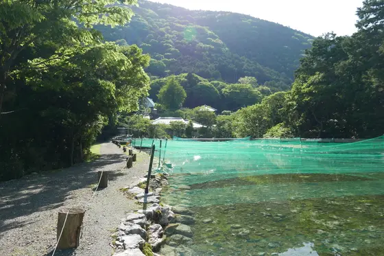 唯一の開けた場所