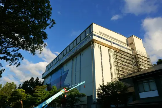 いい天気になってきました