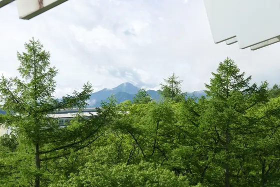 チェックアウト間際に晴れ