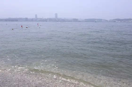 海を楽しむ