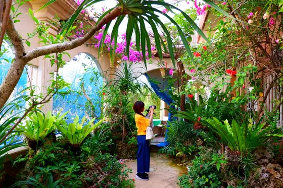 帰りに見つけた秘密の花園