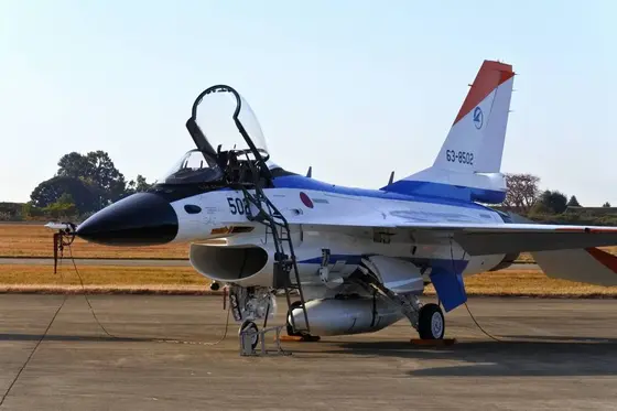 やや小型のF2