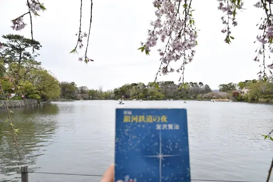 ベンチで読書