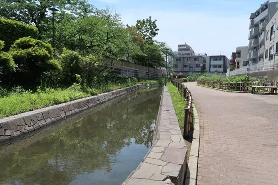 古石場川親水公園