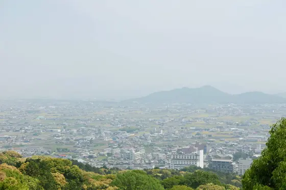 よくぞここまで来たものだ