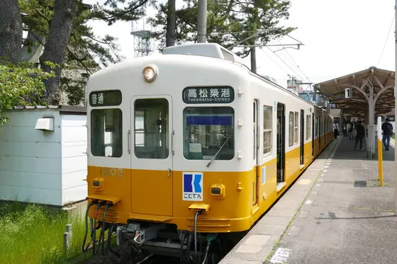 可愛い黄色の琴電