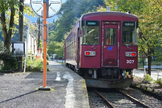 忘れた頃にやって来ます