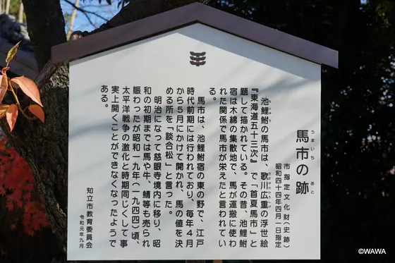 馬市の跡　 愛知県知立市山町桜馬場４　慈眼寺