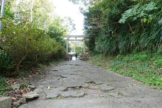 階段を登りきった先はちょっと坂道