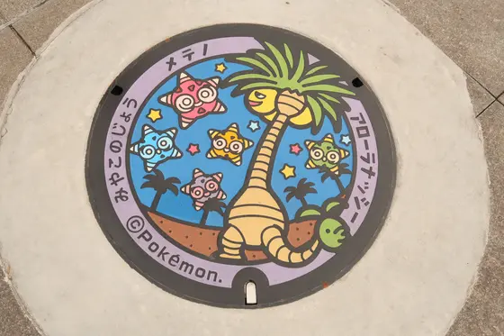 「ポケふた」県下26市町村に設置