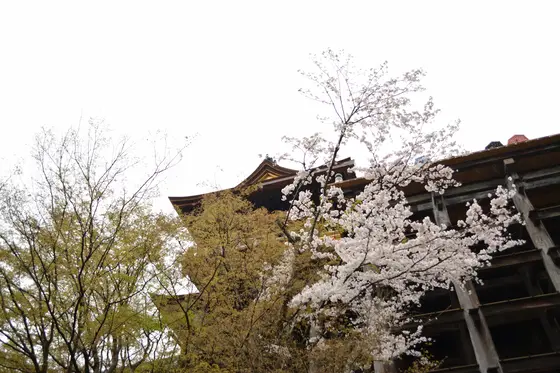 下から見上げると