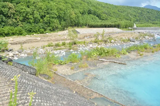 美瑛川に流れていく水も