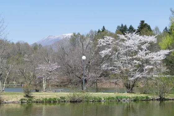 奥には阿蘇山🗻