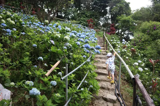 歩きやすい靴