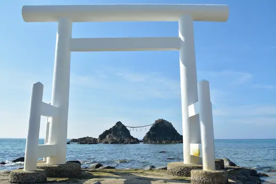 櫻井神社社地