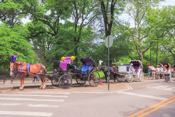 実は、とっーーても広い公園！