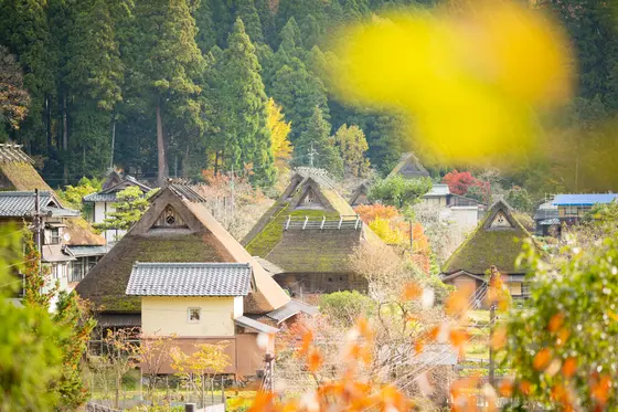 かやぶきの暮らしを感じて