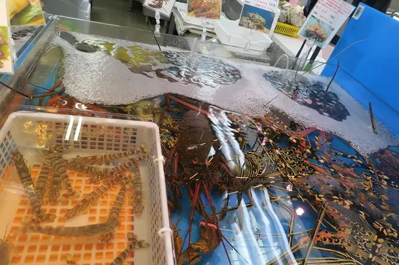 スポット内のおすすめ