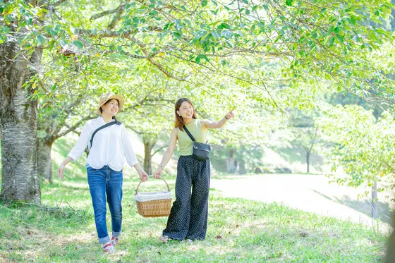 歩いてピクニックスポットへ
