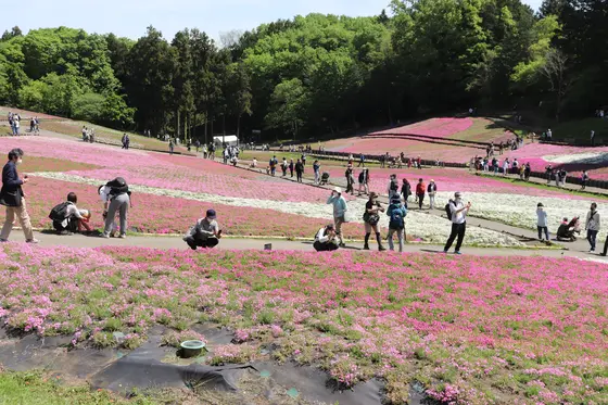 スポット内のおすすめ