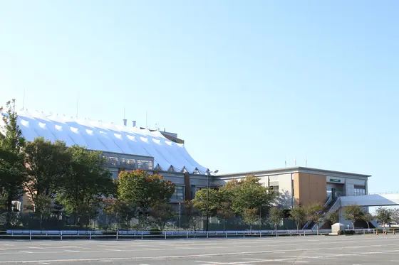新潟競馬場